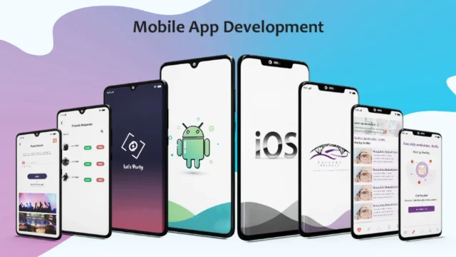 User Profile 10 Tamim Digital