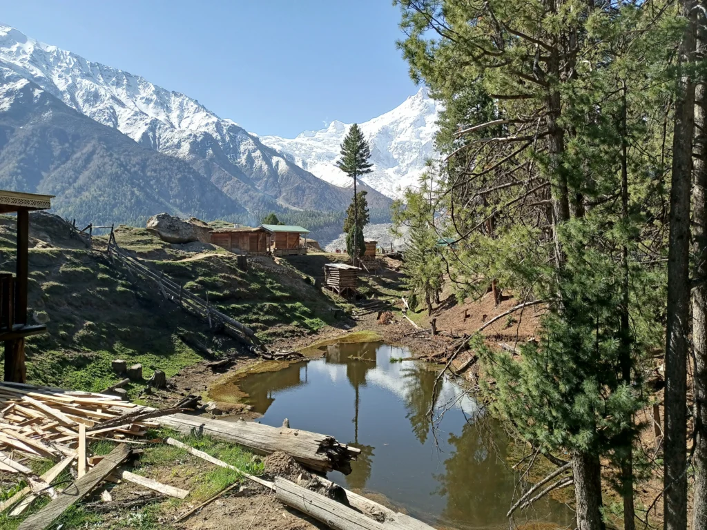 fairy meadows (gilgit-baltistan) pakistan