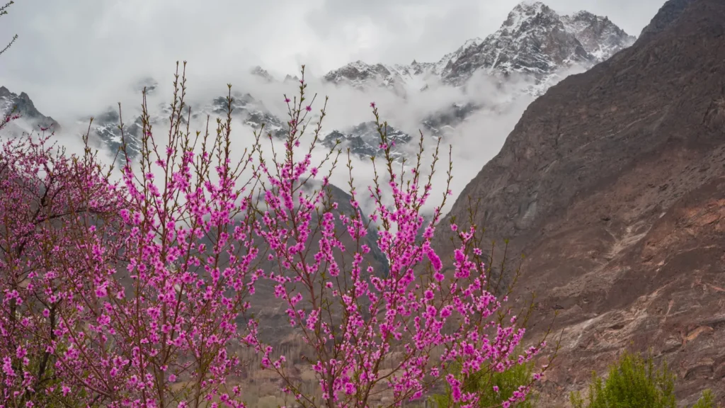 hunza valley